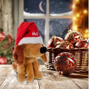 Dr. Seuss Christmas Max